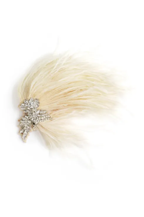 Plume crystal clip